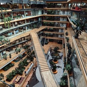 Within Walls album cover